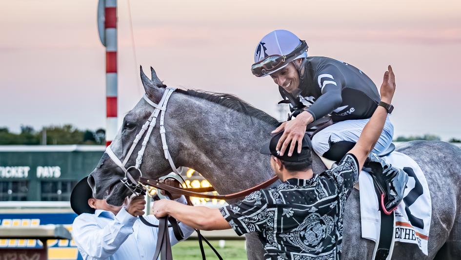 Seize the Grey, Pennsylvania Derby, Parx Racing, D. Wayne Lukas, MyRacehorse, Eclipse Sportswire Seize the Grey, Pennsylvania Derby, Parx Racing, D. Wayne Lukas, MyRacehorse, Eclipse Sportswire